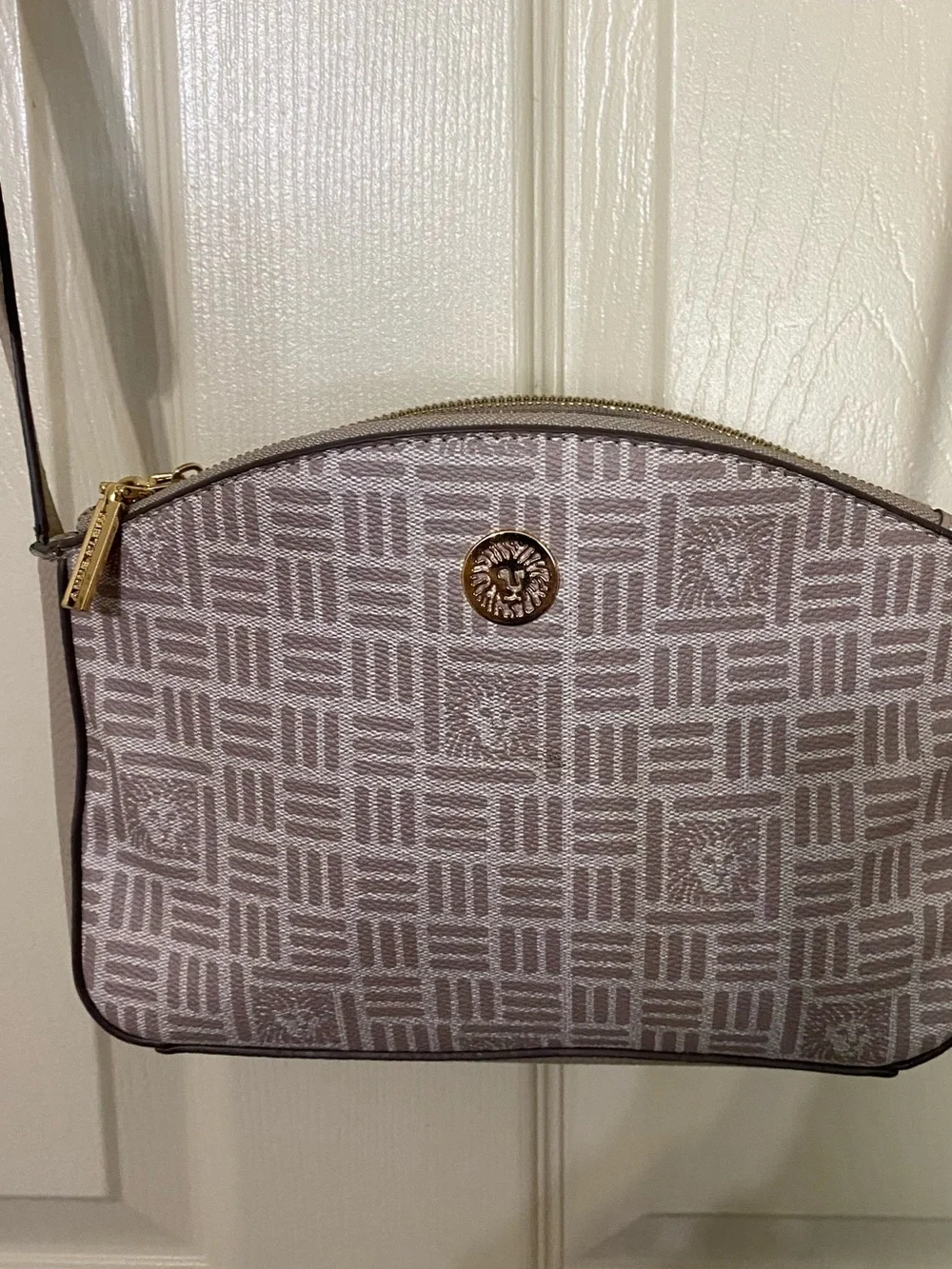 Women's Pink Patterned Crossbody Bag with Gold Accent. Anne Klein.